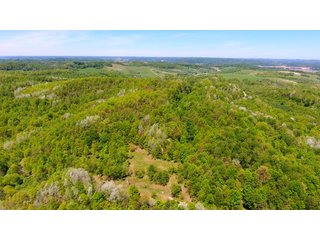 Property photo 20 - LAND AUCTION - 2,596+/- ACRES IN 28 TRACTS IN COSHOCTON & MUSKINGUM COUNTIES, OHIO